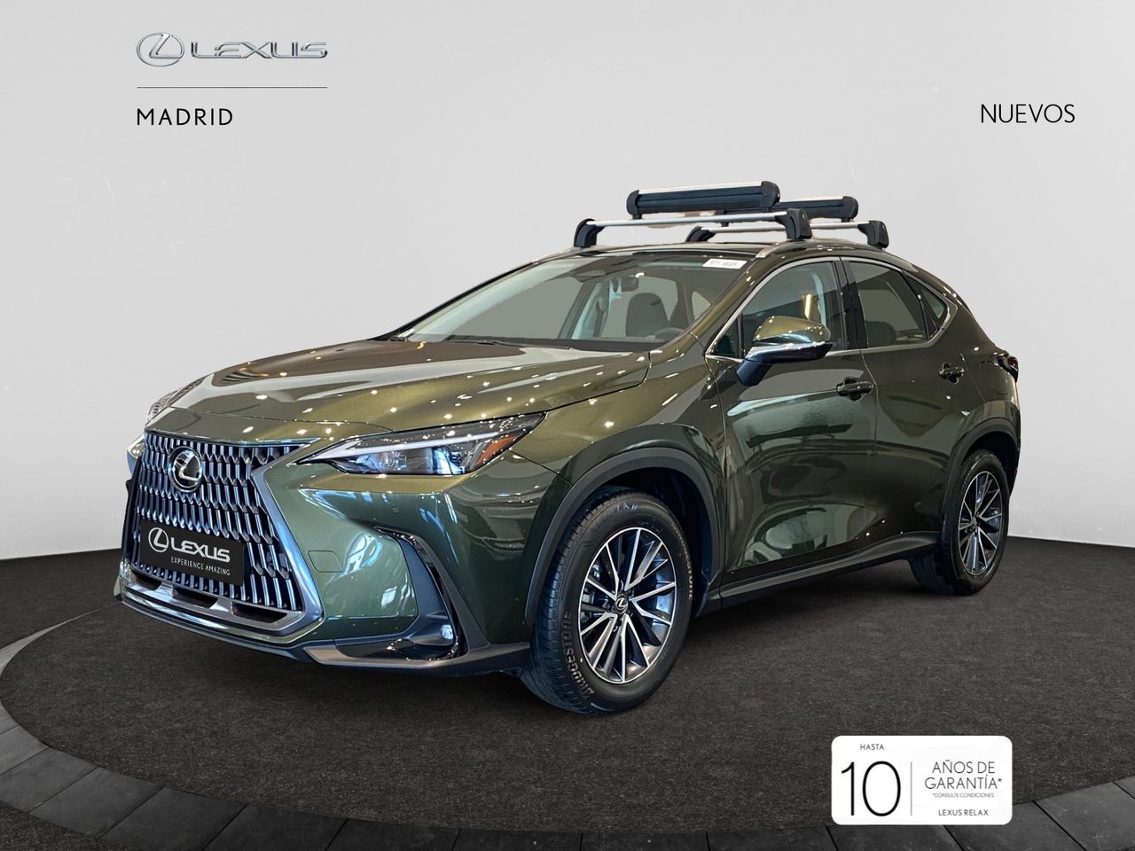 lexus nx 2025 / foto grande (2)