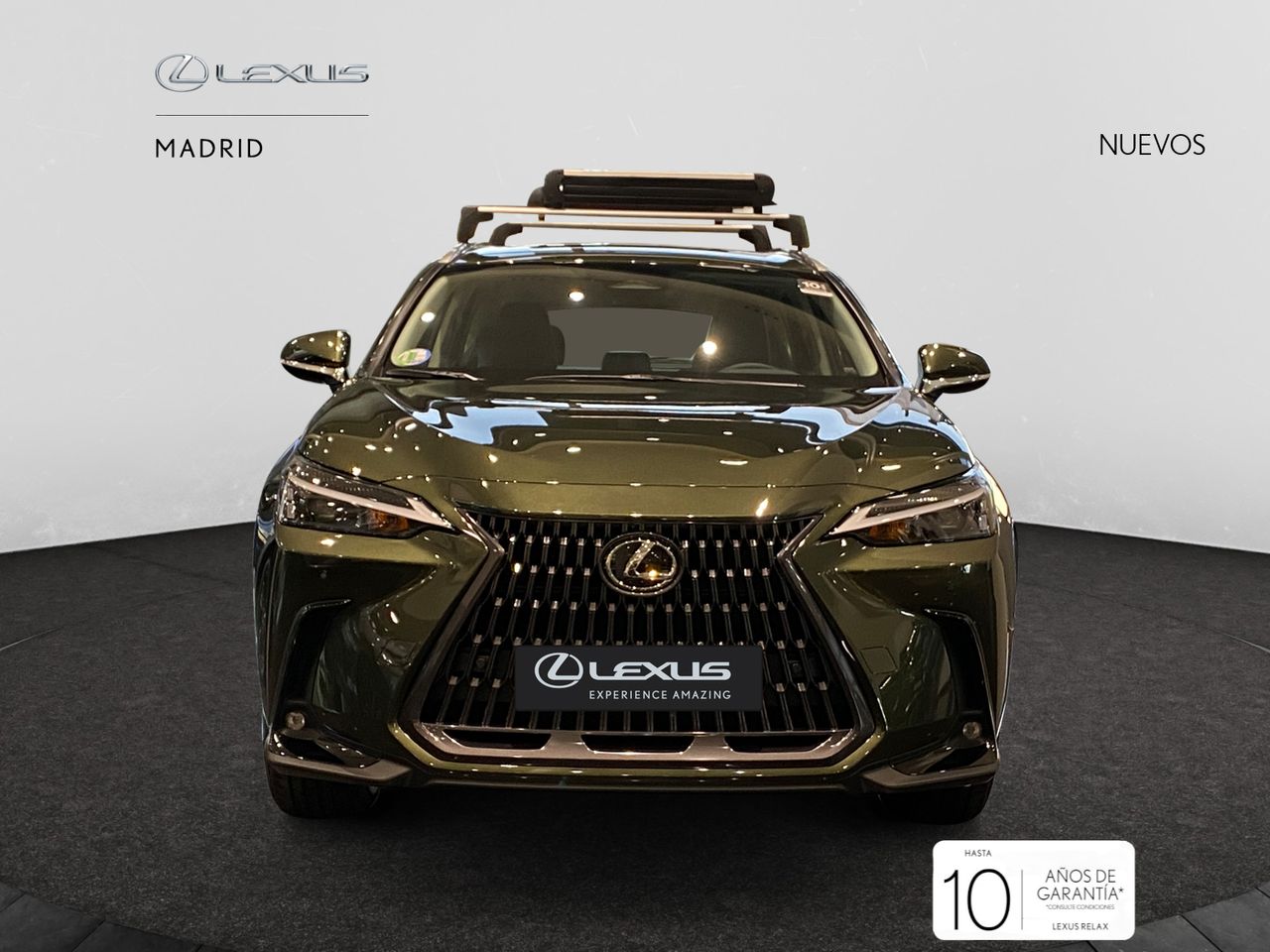 Foto lexus nx 2025 /