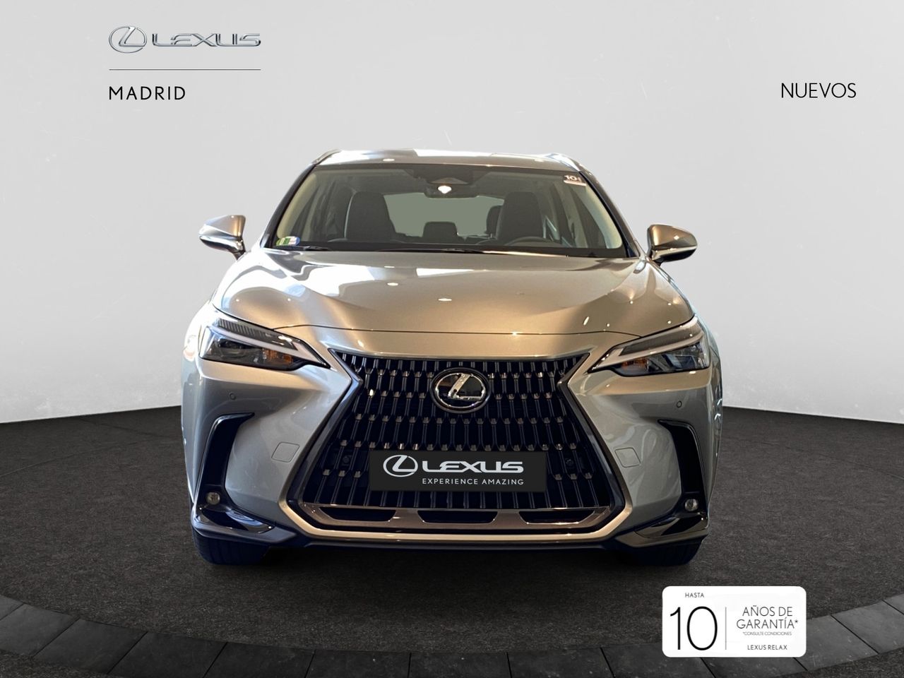 Foto lexus nx 2025 /