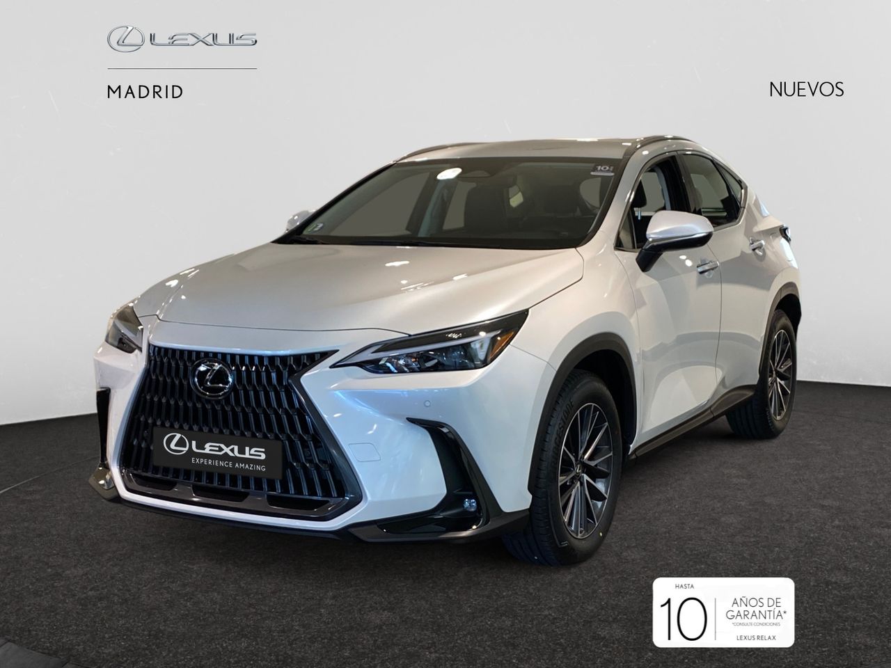 lexus nx 2025 / foto grande (2)