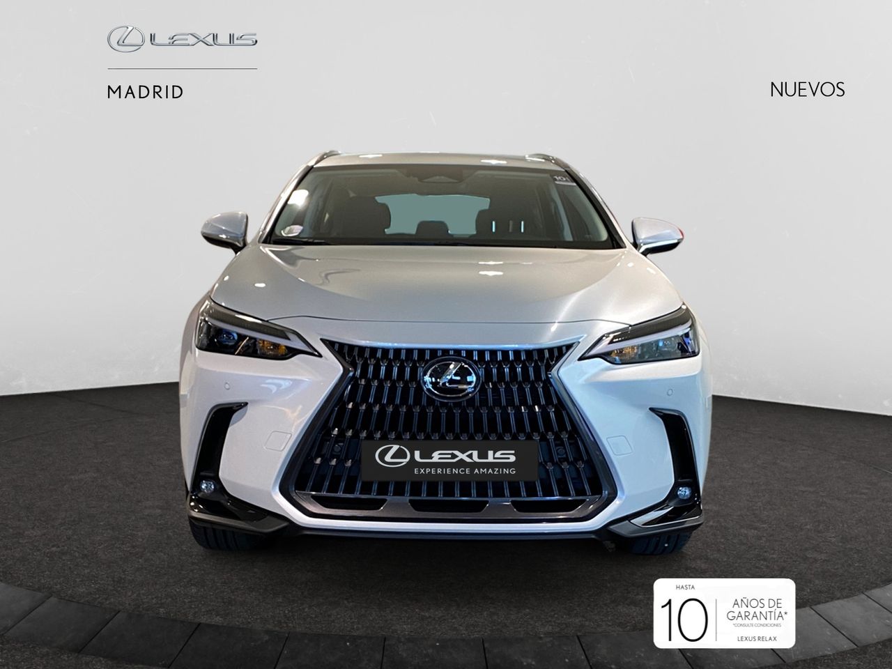 Foto lexus nx 2025 /