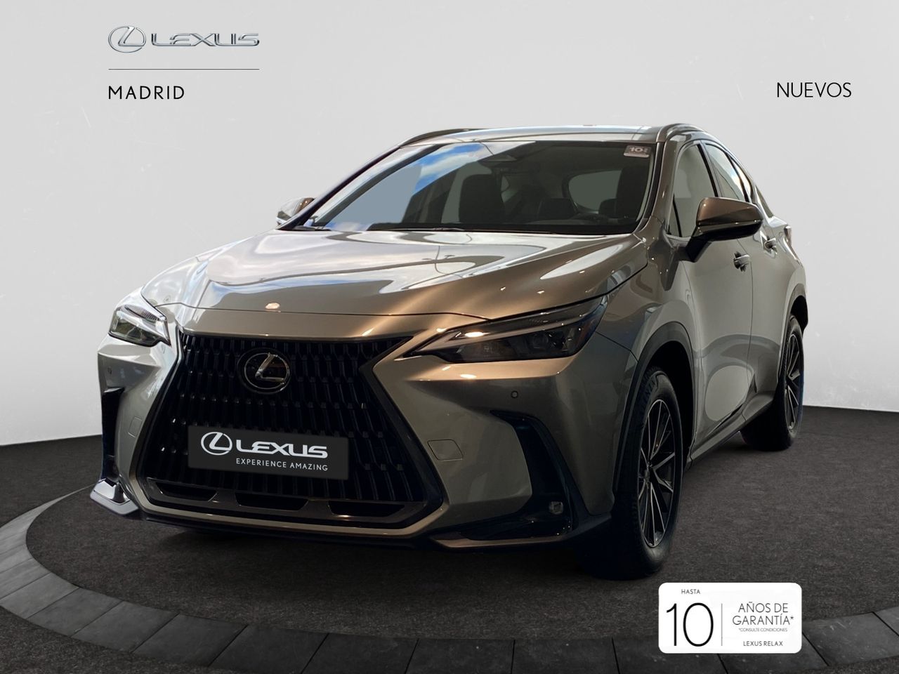 lexus nx 2025 / foto grande (2)