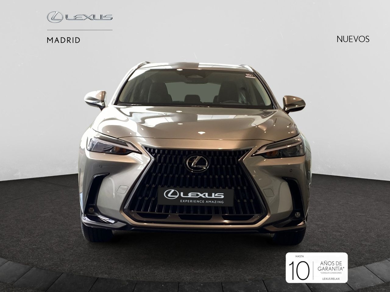 Foto lexus nx 2025 /