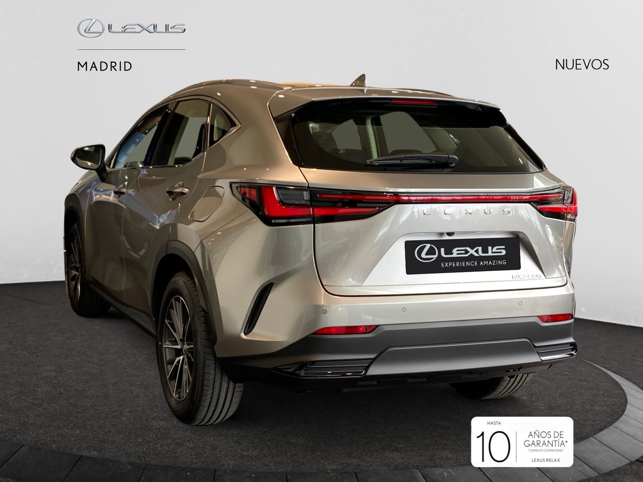 lexus nx 2025 / foto grande (3)