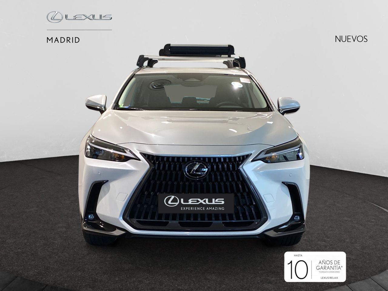 Foto lexus nx 2024 /