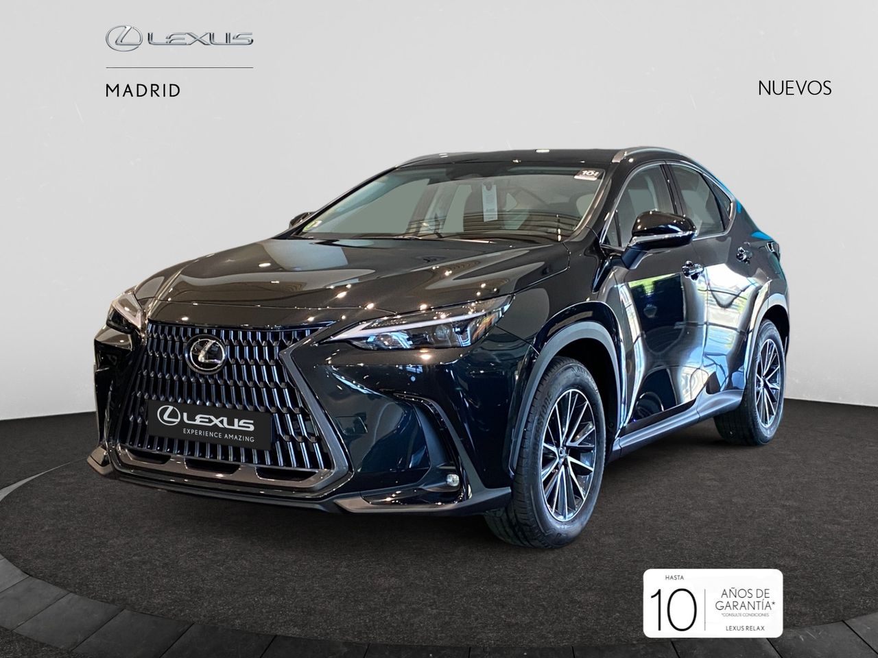 lexus nx 2025 / foto grande (2)