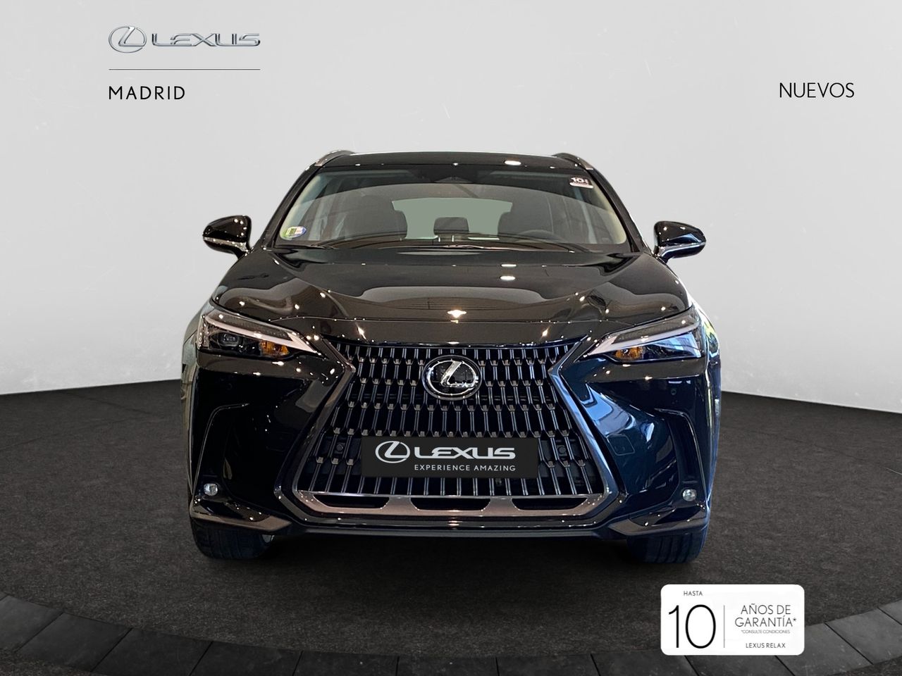 Foto lexus nx 2025 /