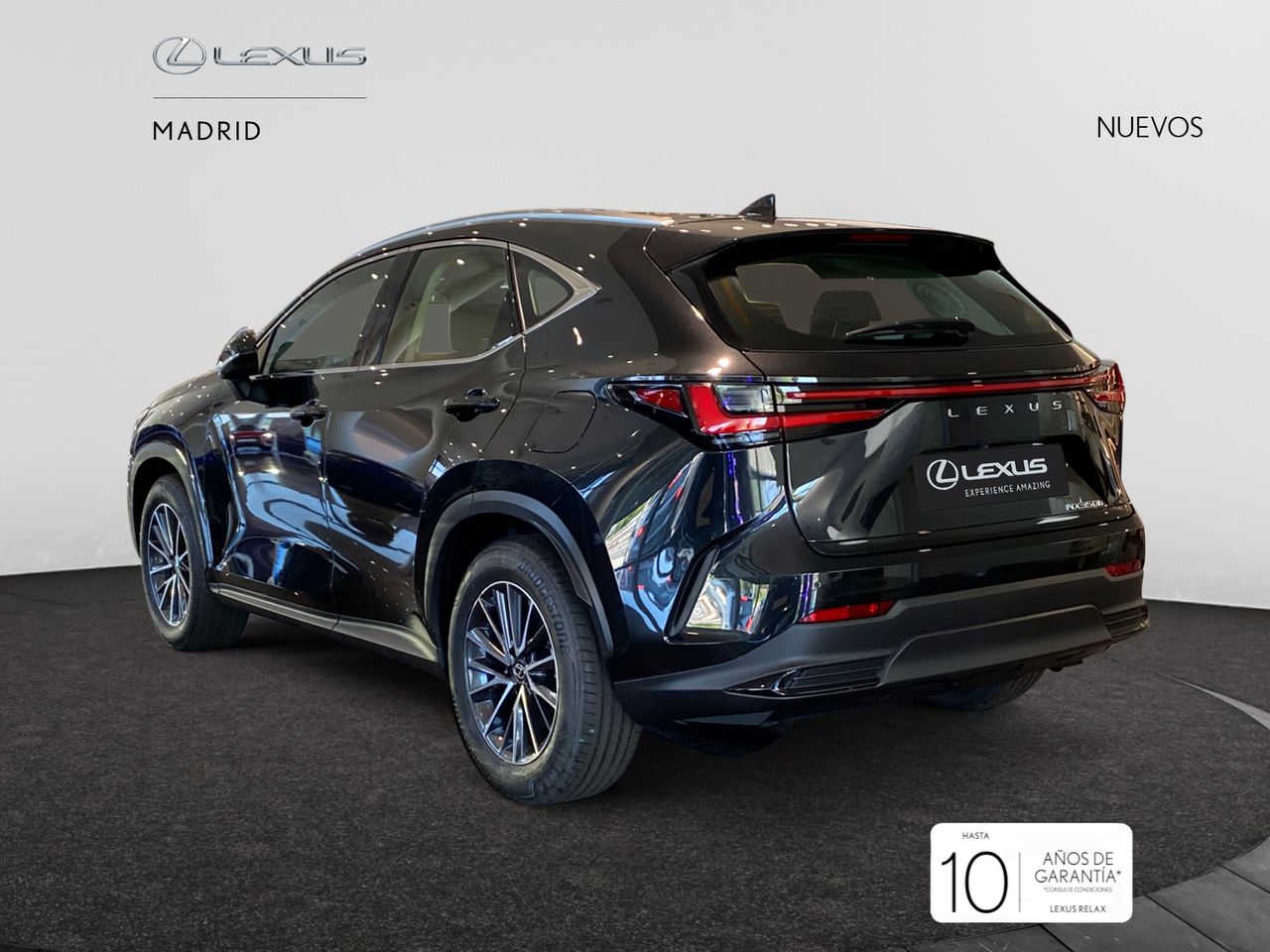 lexus nx 2025 / foto grande (3)