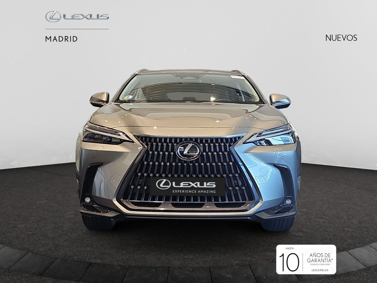 Foto lexus nx 2025 /