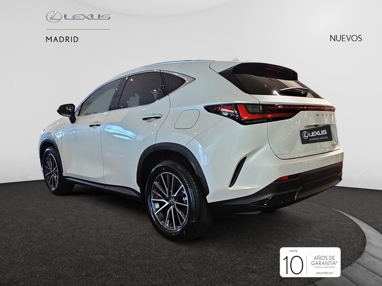 lexus nx 2025 / foto grande (3)