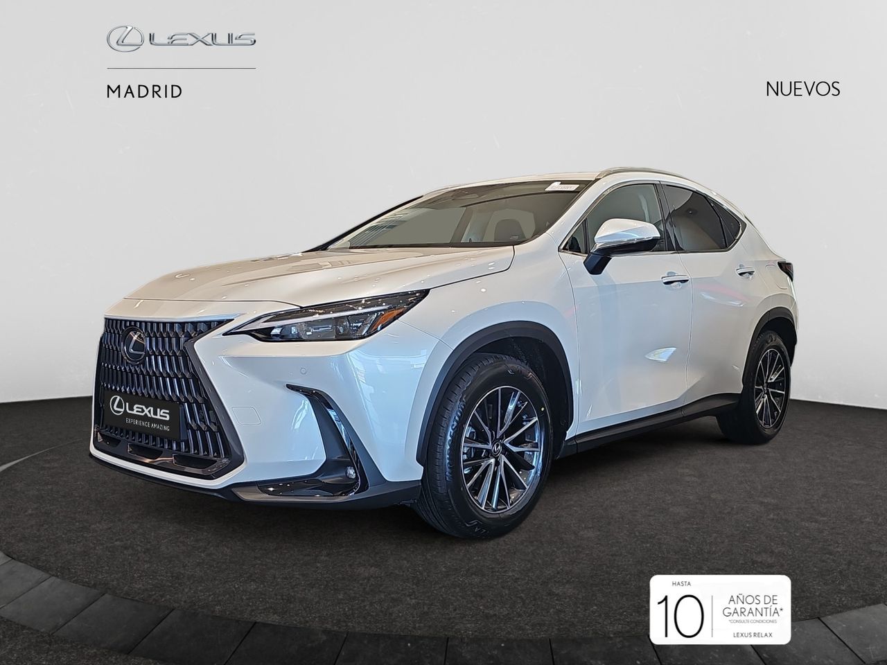 lexus nx 2025 / foto grande (2)