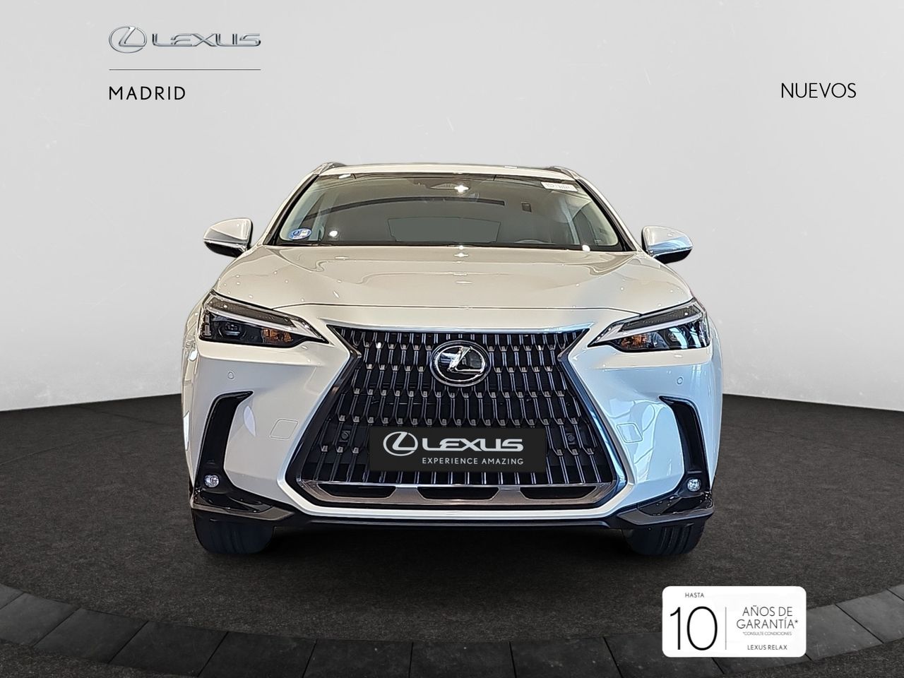 Foto lexus nx 2025 /