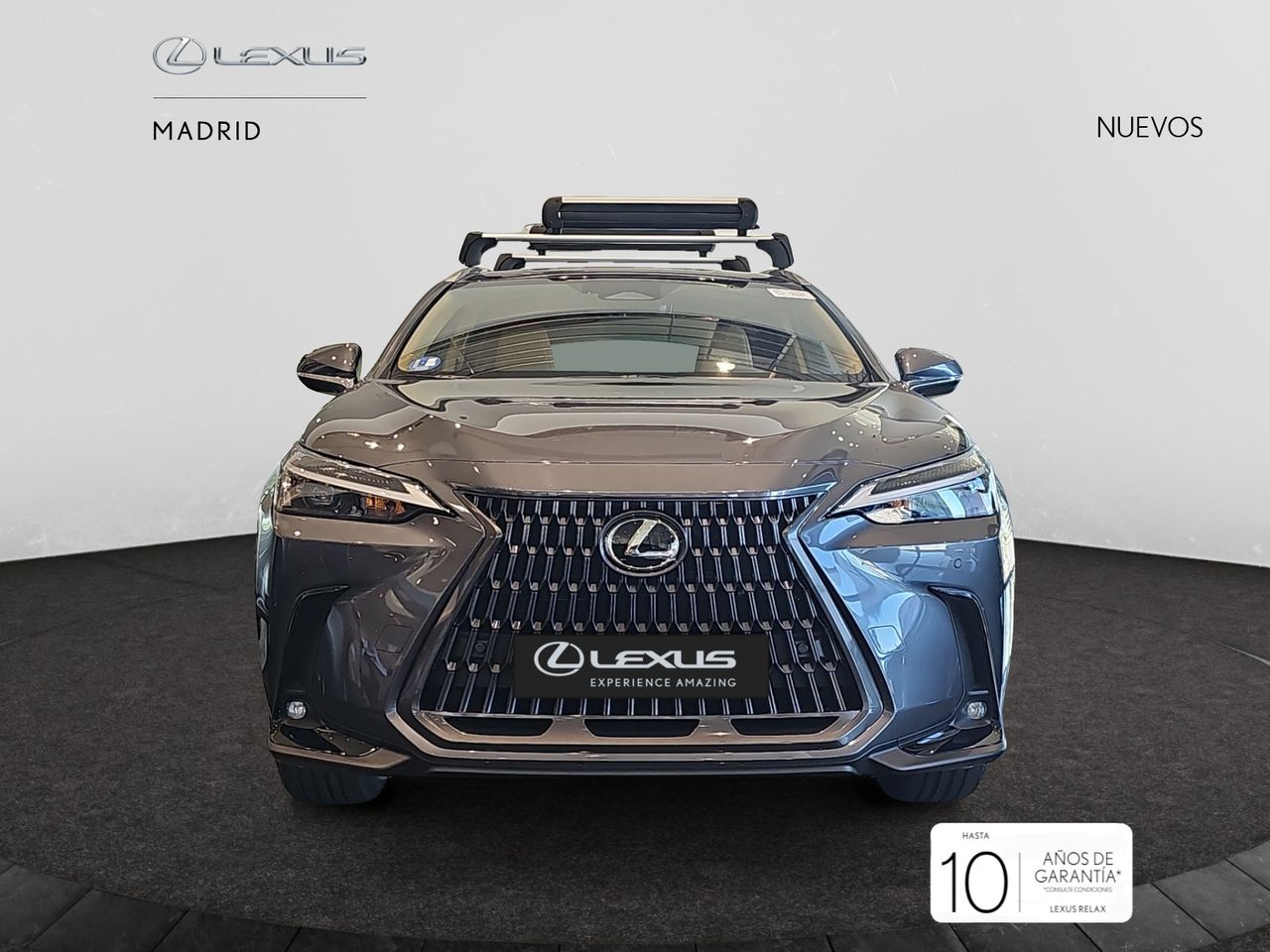 Foto lexus nx 2025 /