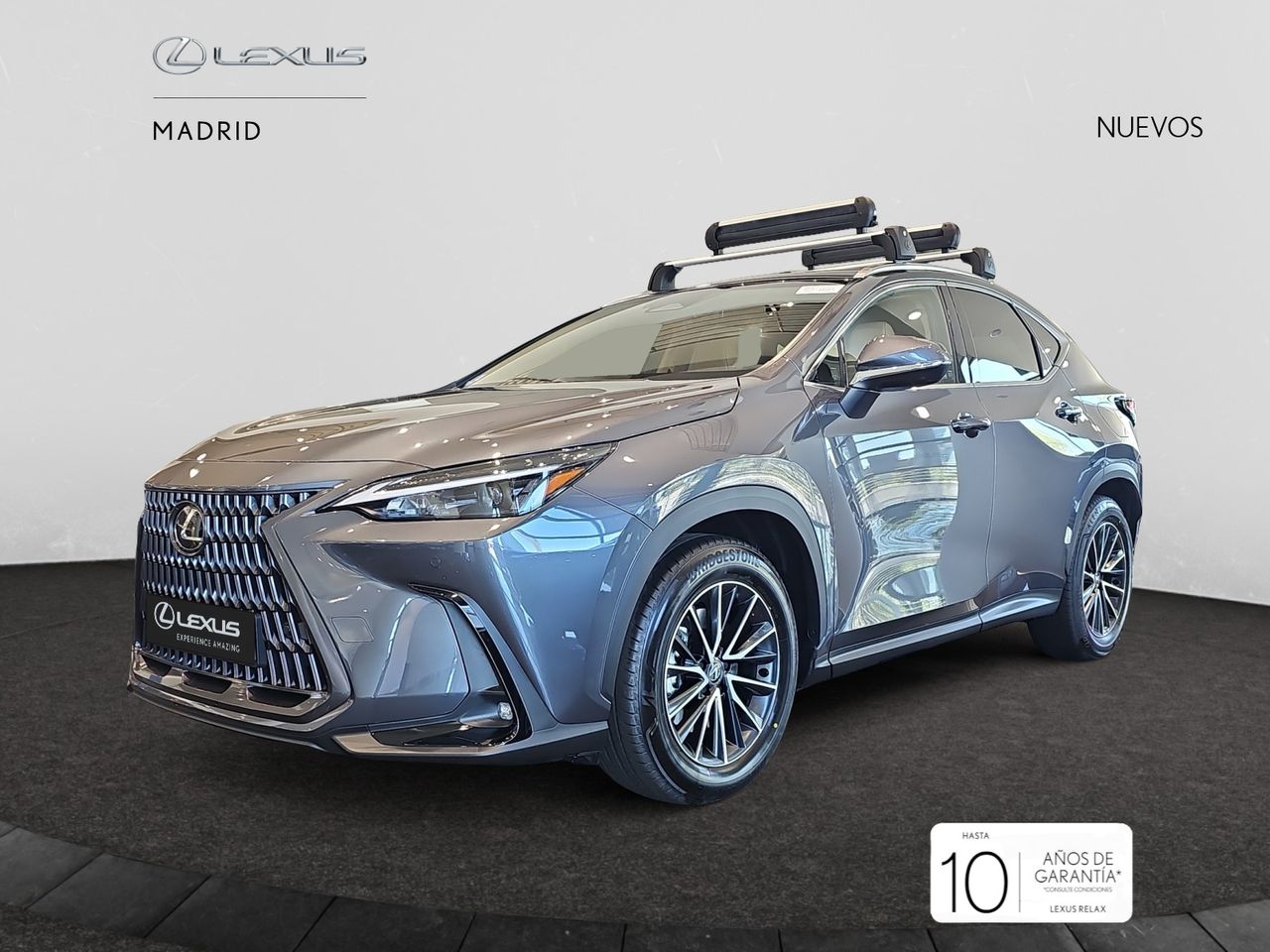 lexus nx 2025 / foto grande (2)