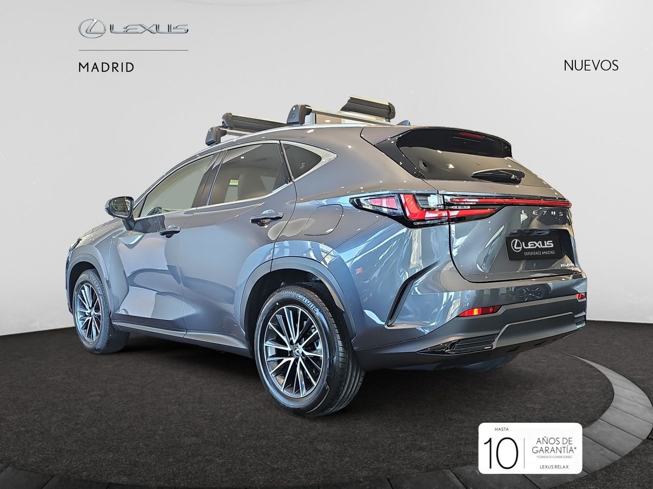 lexus nx 2025 / foto grande (3)