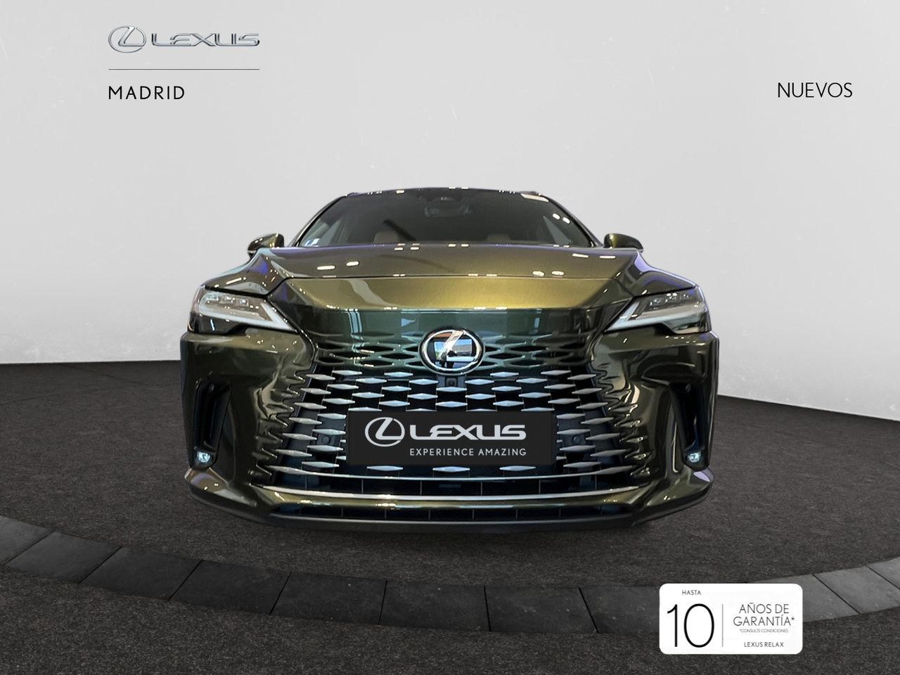 Foto lexus rx 2025 /