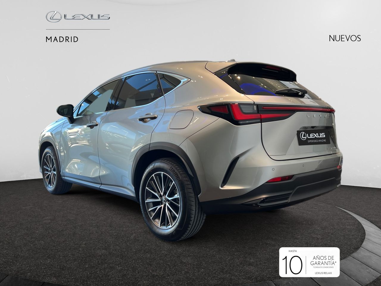 lexus nx 2025 / foto grande (3)