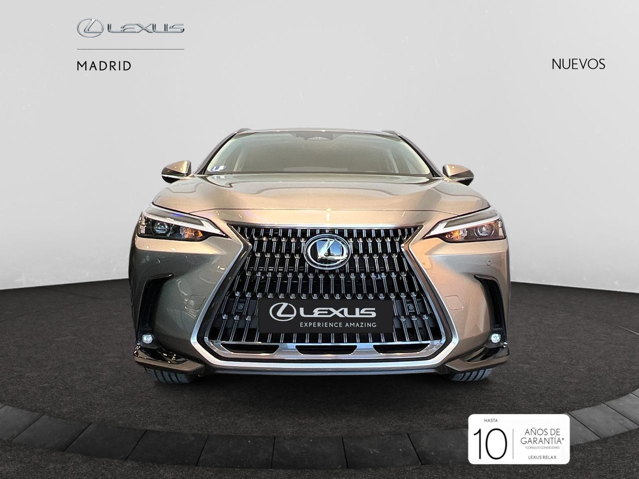 Foto lexus nx 2025 /