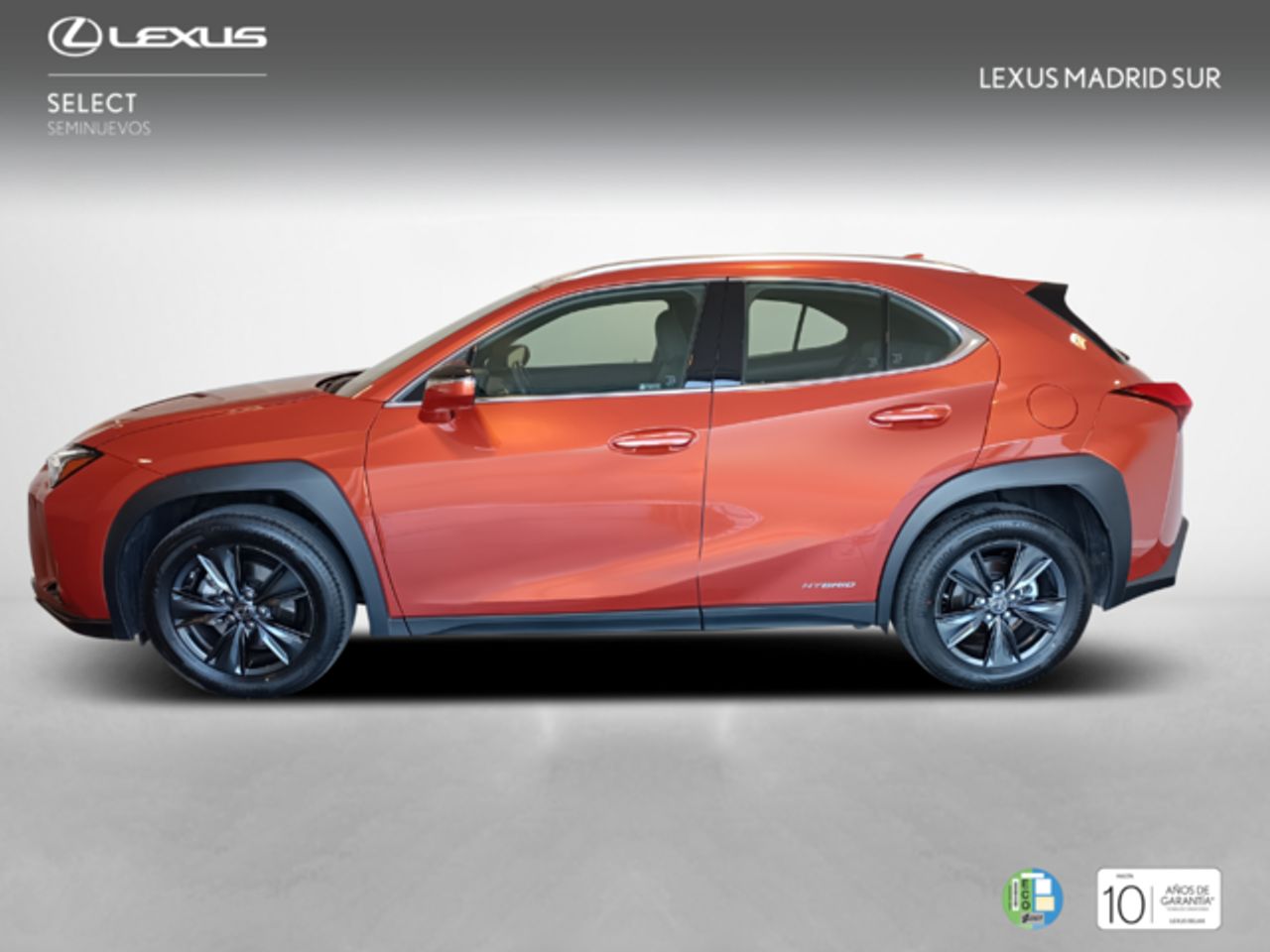 lexus ux 2025 / foto grande (3)