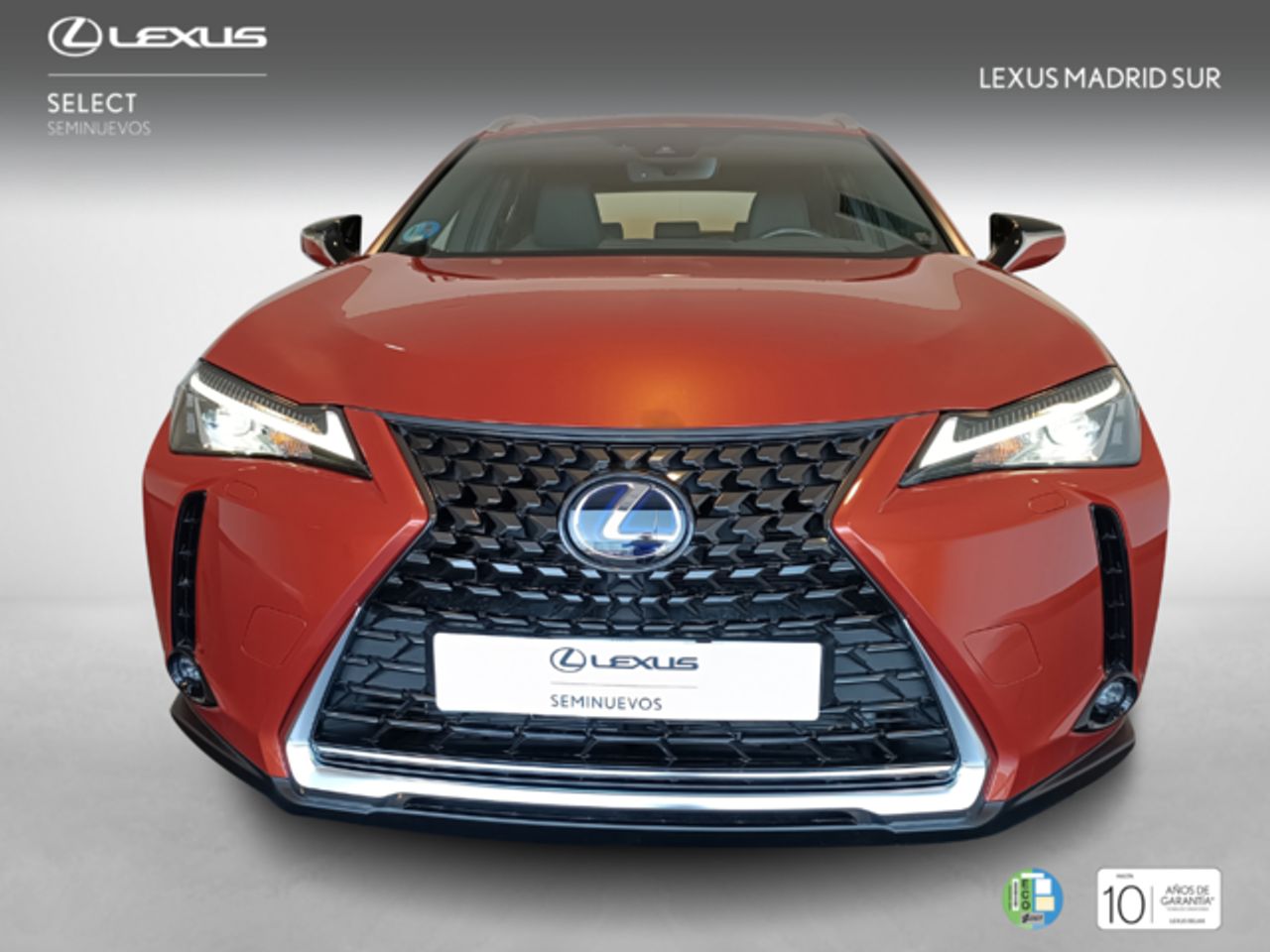 lexus ux 2025 / foto grande (2)