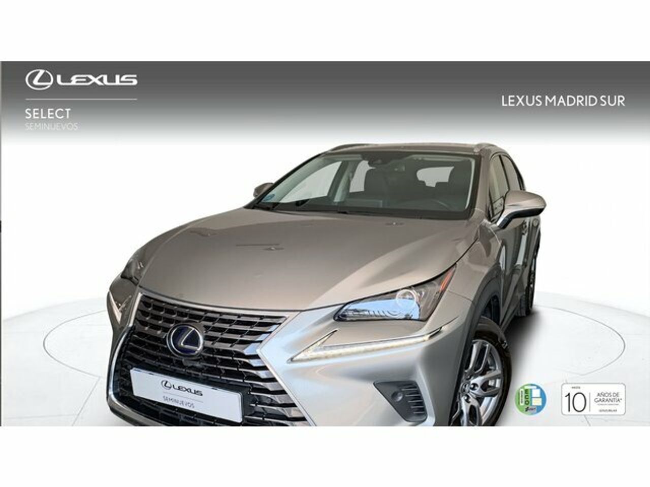 Foto lexus nx 2025 /