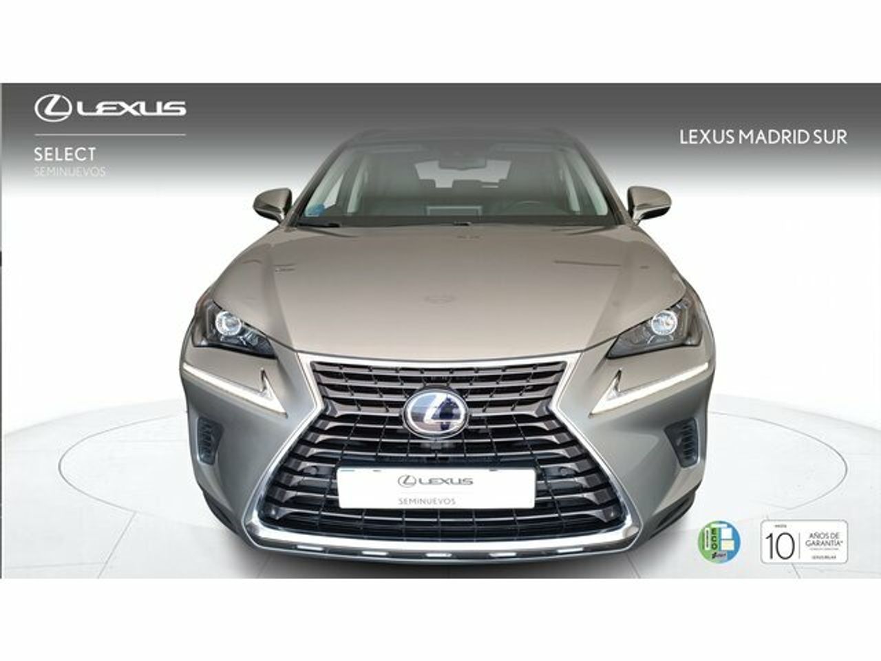 lexus nx 2025 / foto grande (2)