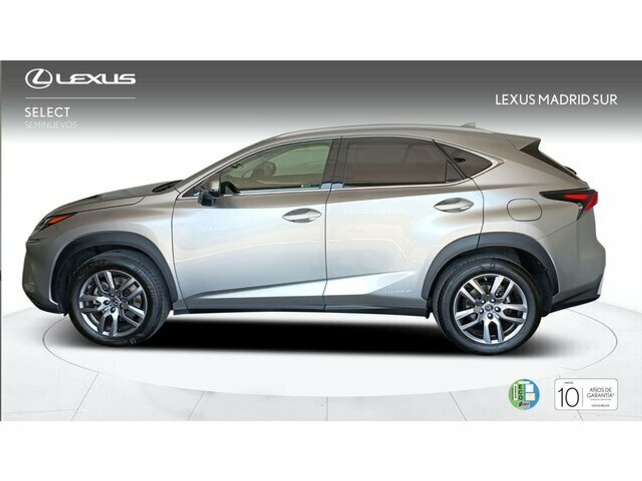 lexus nx 2025 / foto grande (3)