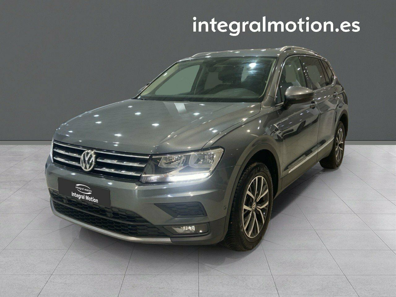 Loro gris africano en casa  - volkswagen tiguan 2019 /