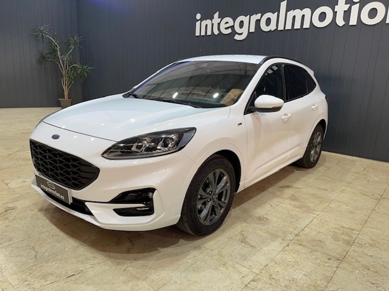 ford kuga 2022 / foto grande (3)