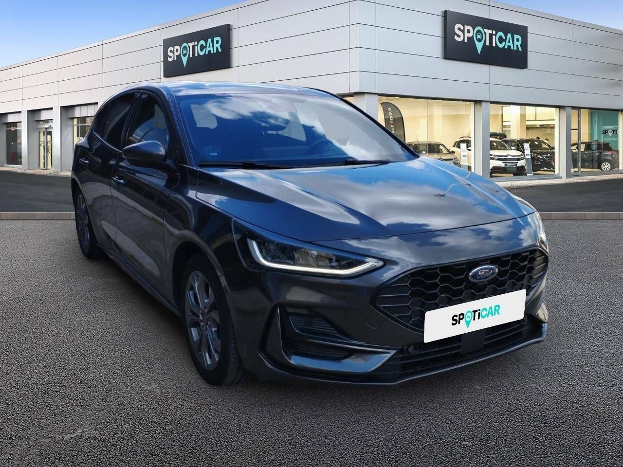 ford focus 2022 / foto grande (3)