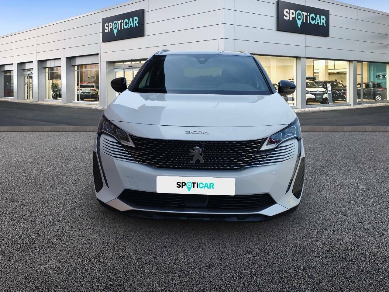 peugeot 3008 2021 / foto grande (2)