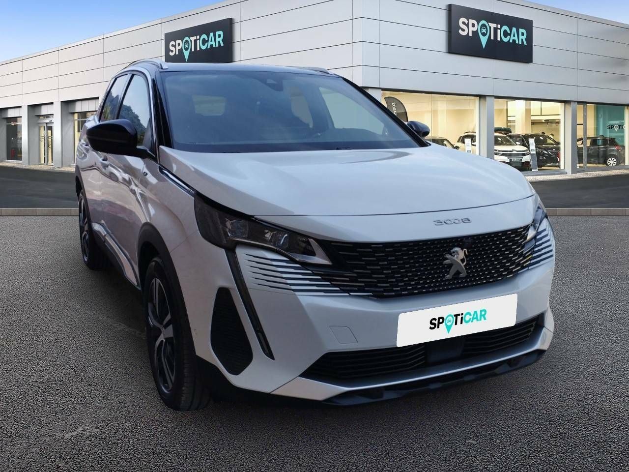 peugeot 3008 2021 / foto grande (3)