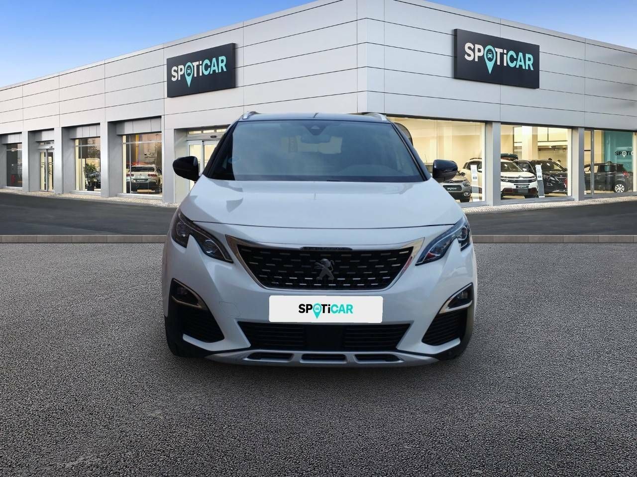 peugeot 3008 2019 / foto grande (2)