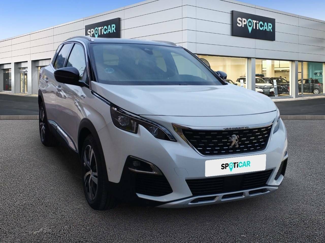 peugeot 3008 2019 / foto grande (3)