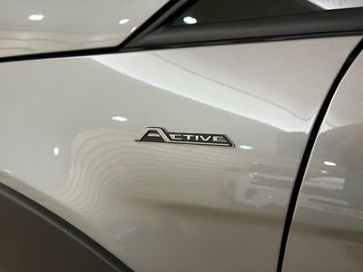Ford Ecosport 1.0T EcoBoost SS Active 1.0T EcoBoost SS Active