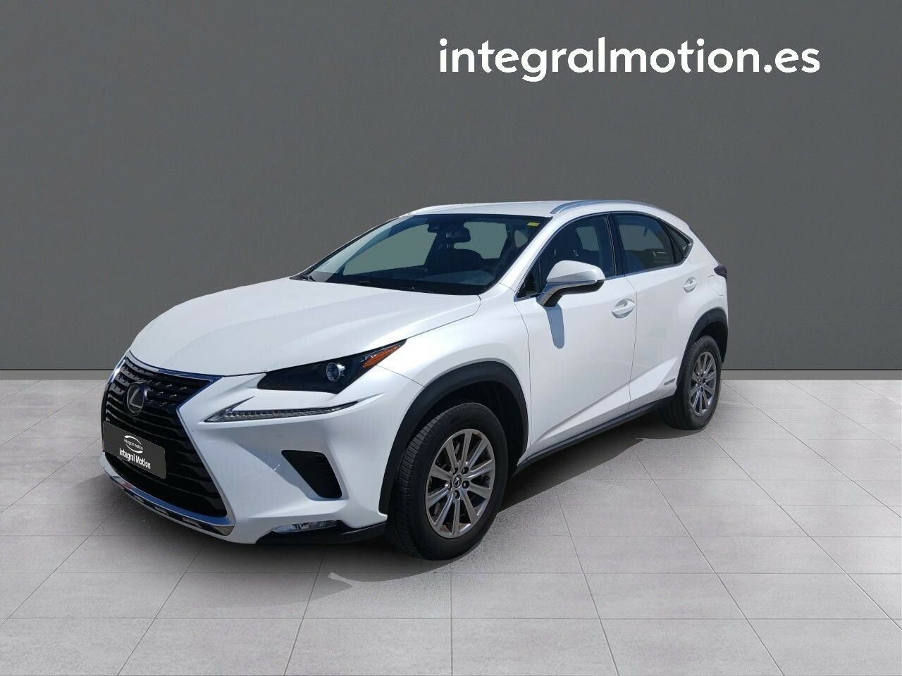 lexus nx 2019 /
