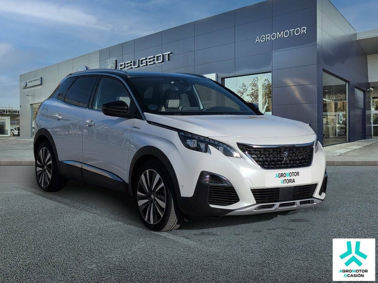 peugeot 3008 2020 / foto grande (3)