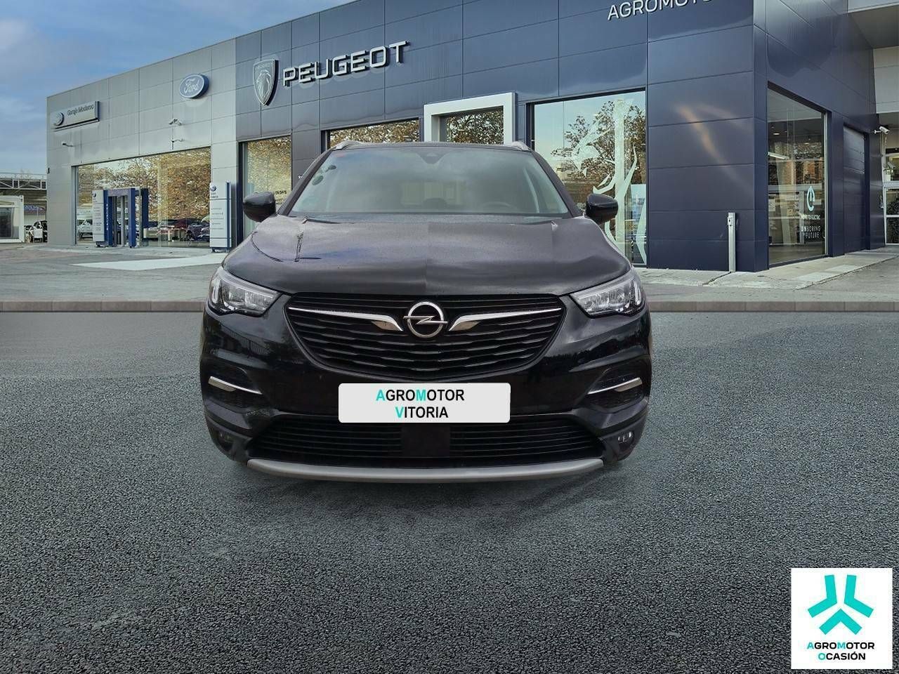 opel grandland x 2021 / foto grande (2)