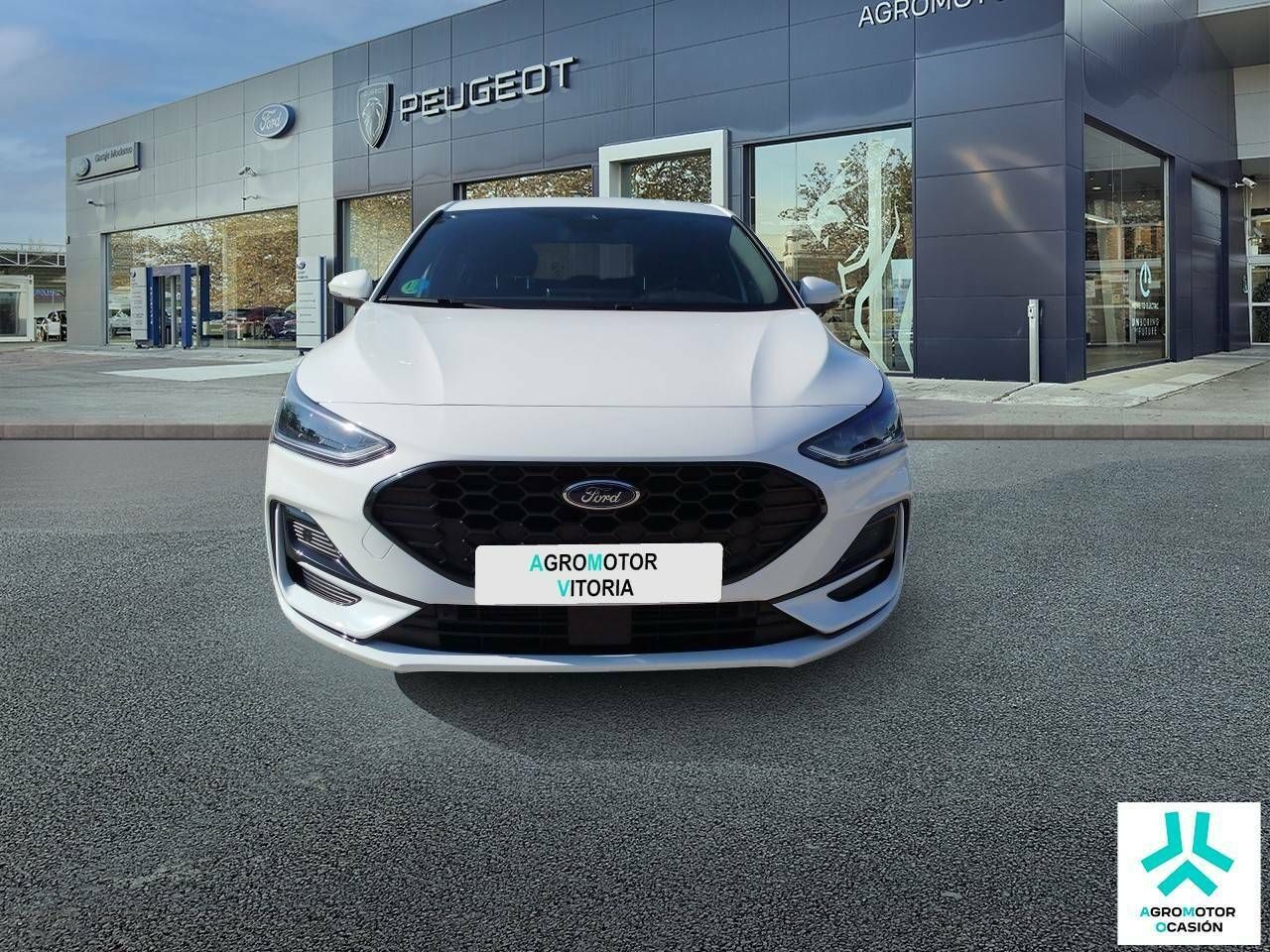 ford focus 2024 / foto grande (2)