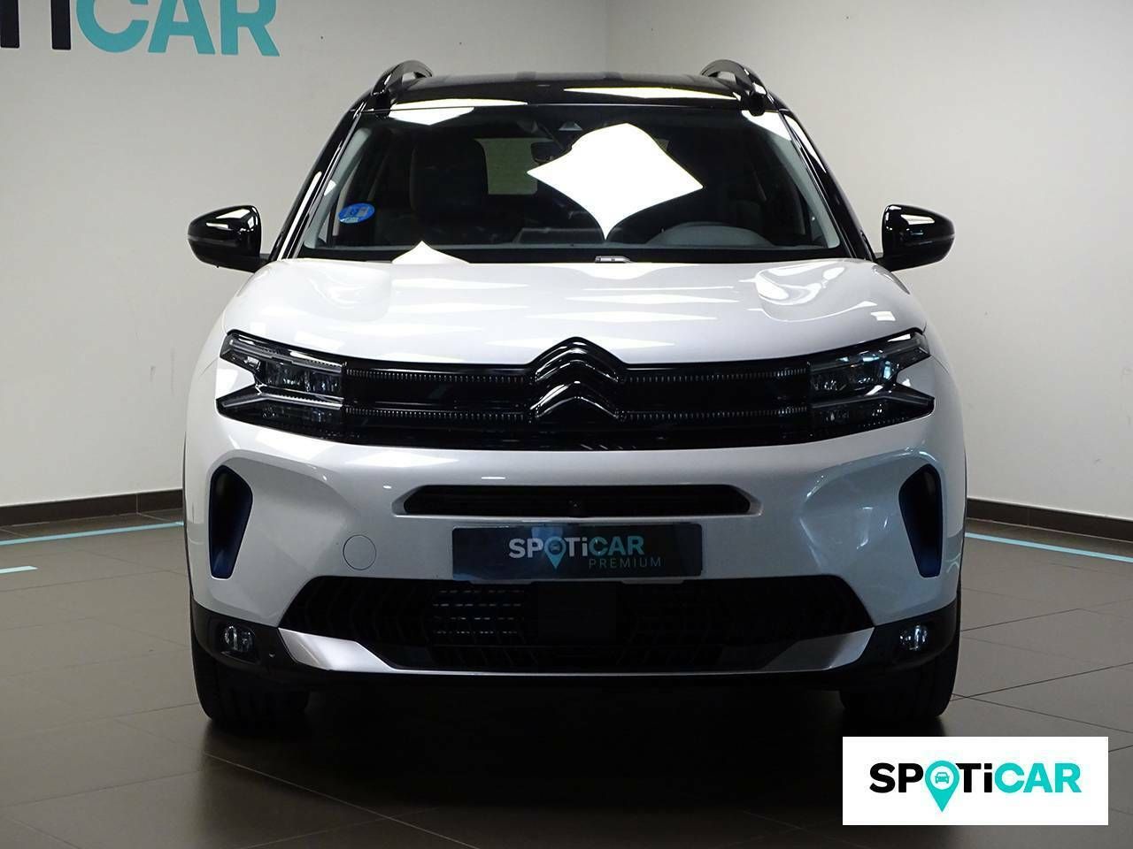 citroën c5 aircross 2022 / foto grande (2)