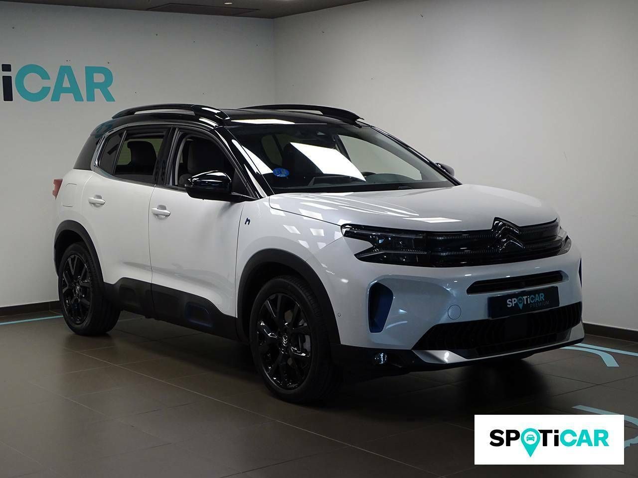 citroën c5 aircross 2022 / foto grande (3)