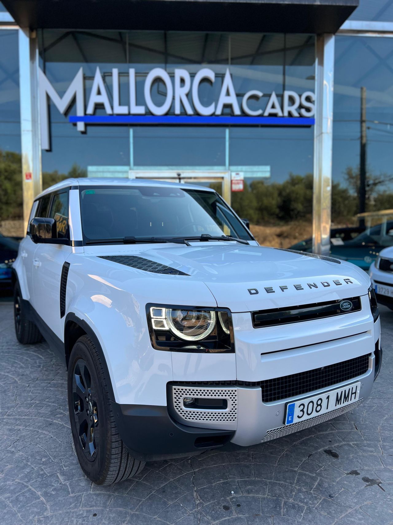 land-rover defender 2020 / foto grande (2)