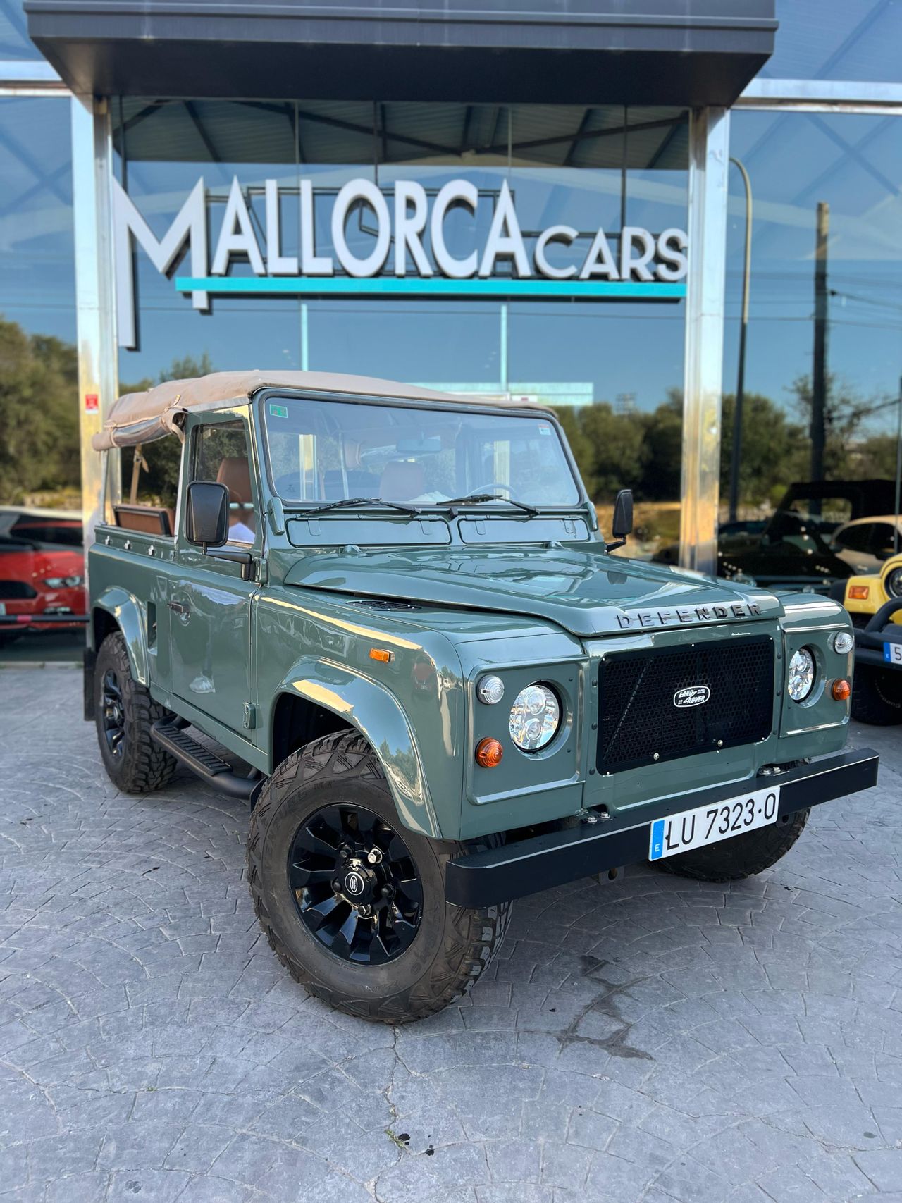 land-rover defender 1989 / foto grande (2)