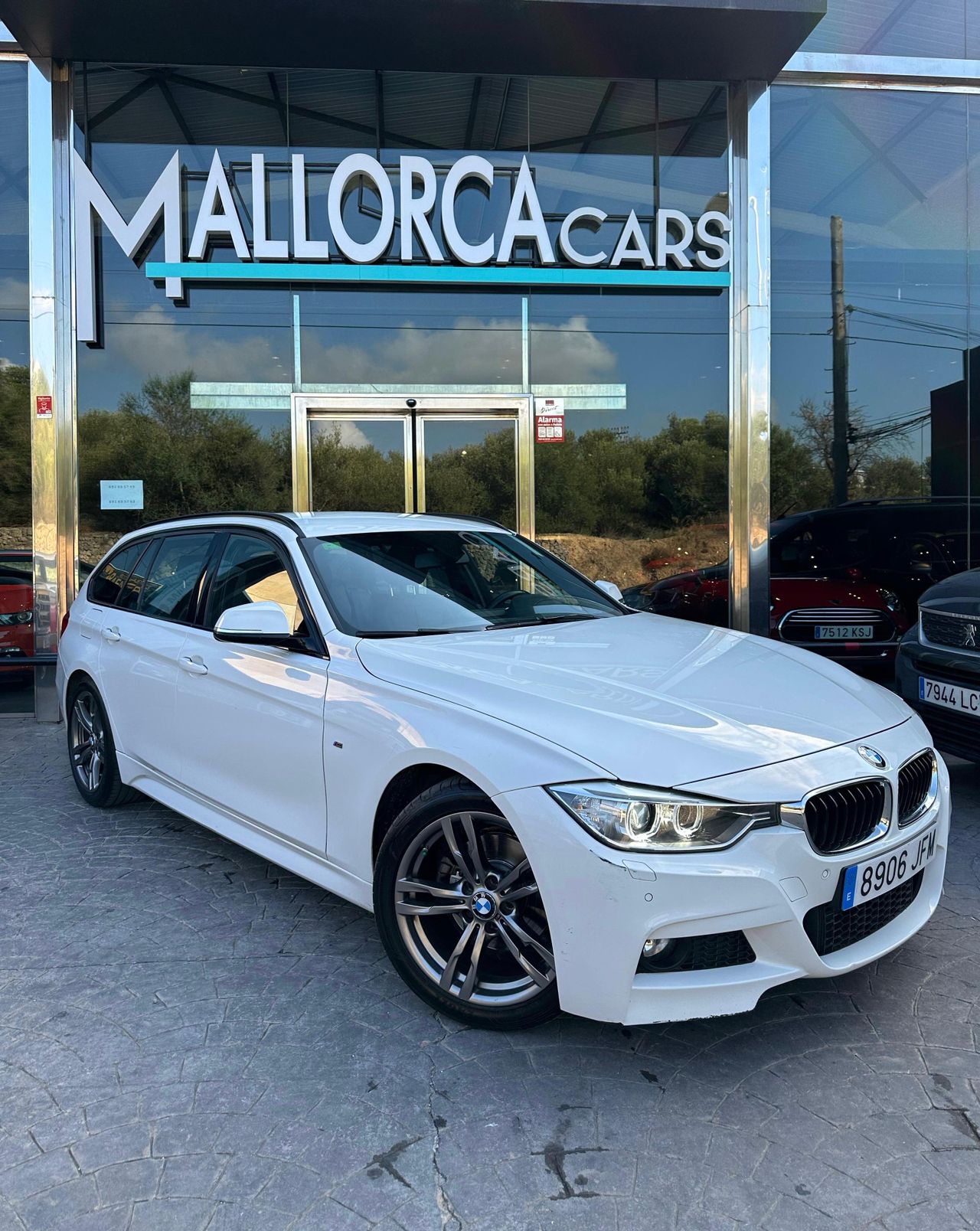 bmw serie 3 2015 / foto grande (2)
