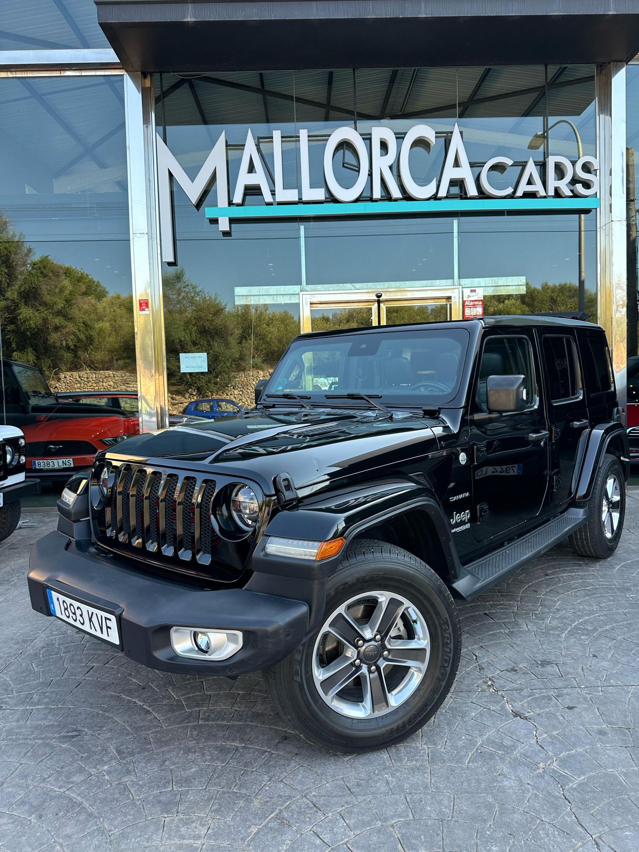 jeep wrangler 2019 /