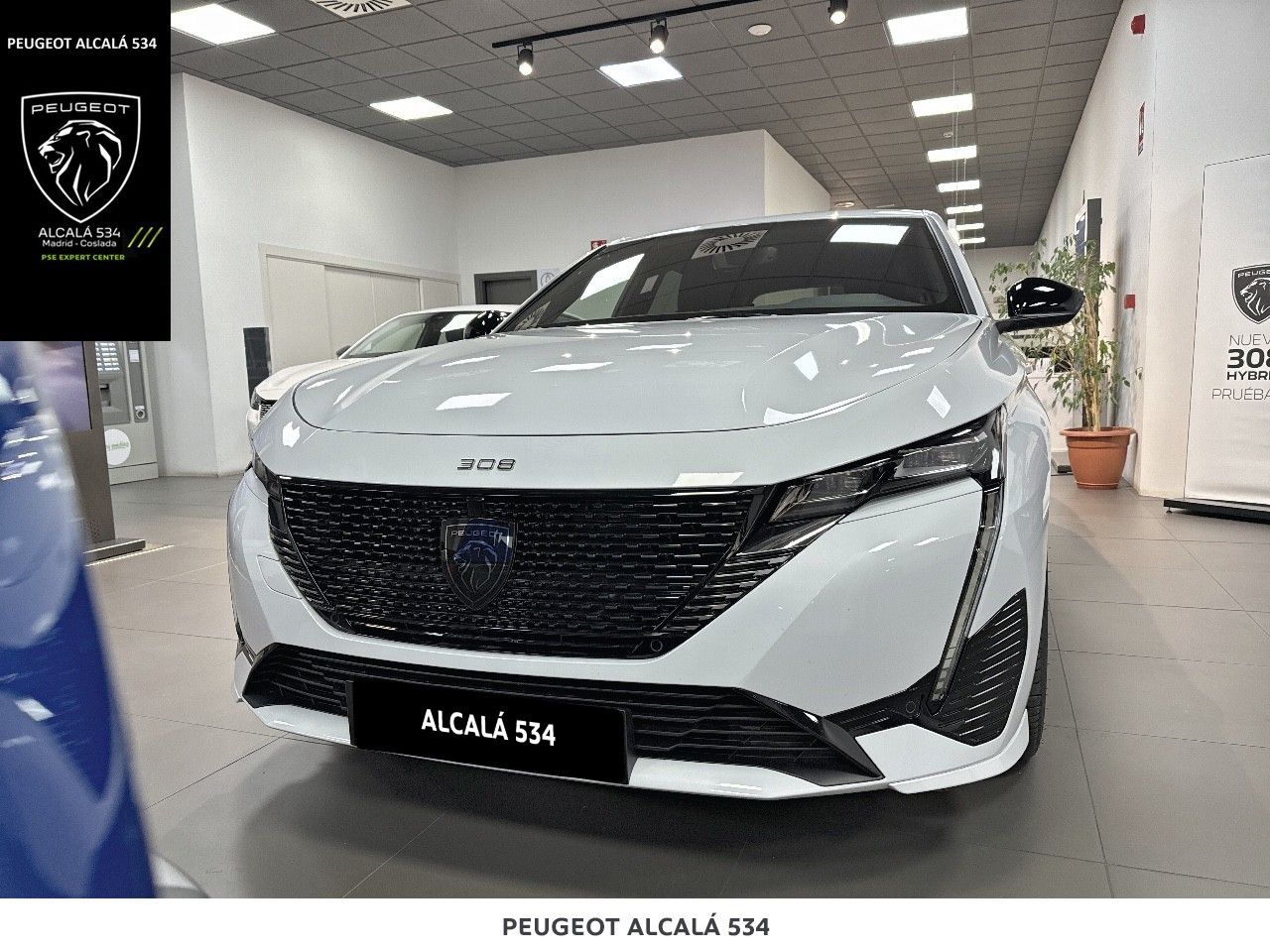 peugeot e-308 2025 / foto grande (2)