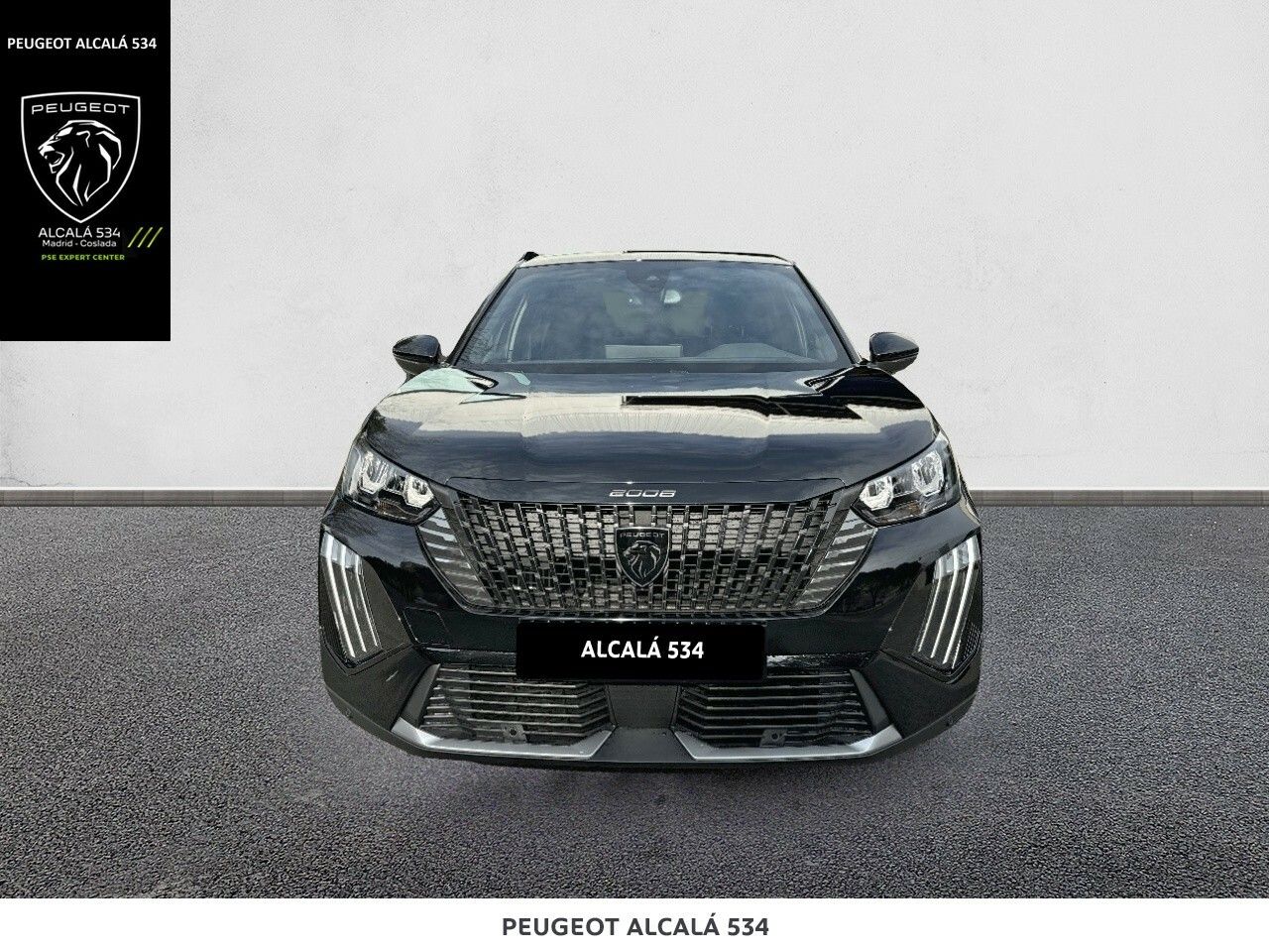 peugeot 2008 2025 / foto grande (2)