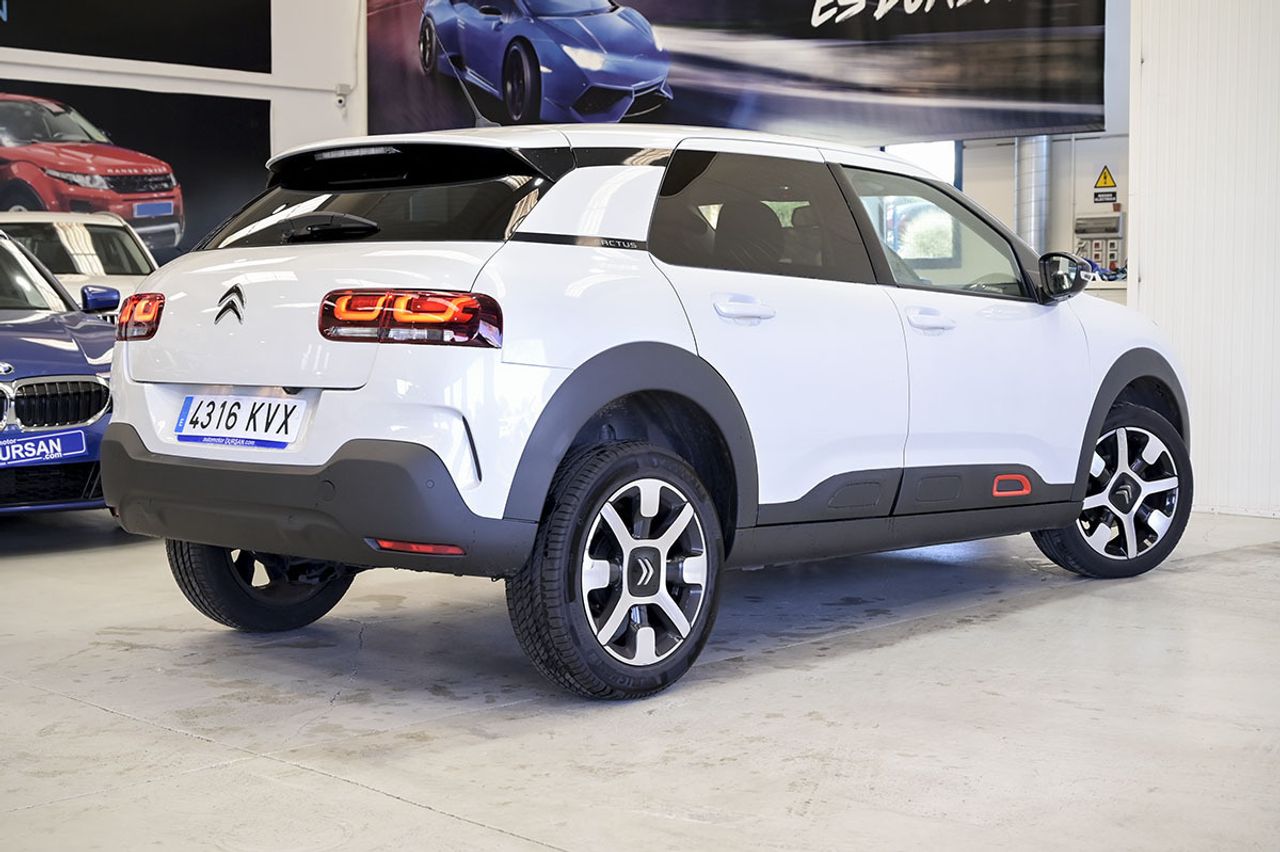citroën c4 cactus 2019 / foto grande (3)