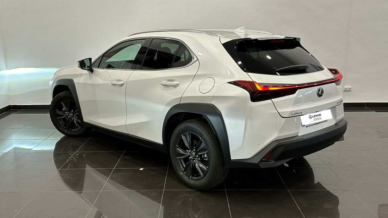 lexus ux 2024 / foto grande (3)