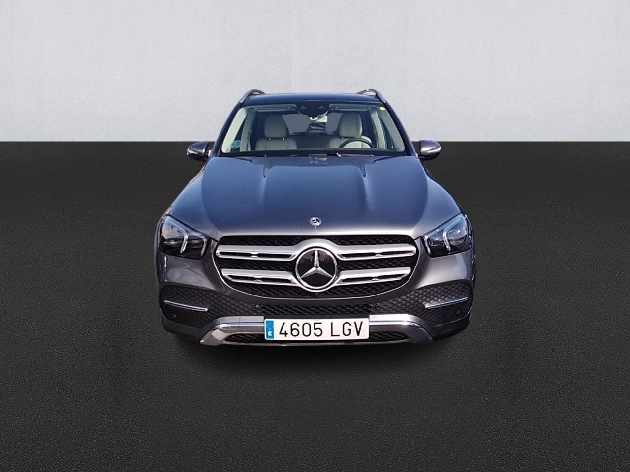mercedes clase gle 2020 / foto grande (2)